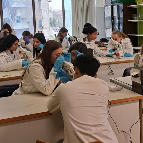 1 2026-02 3-4Maatschappij-welzijn -1-.png