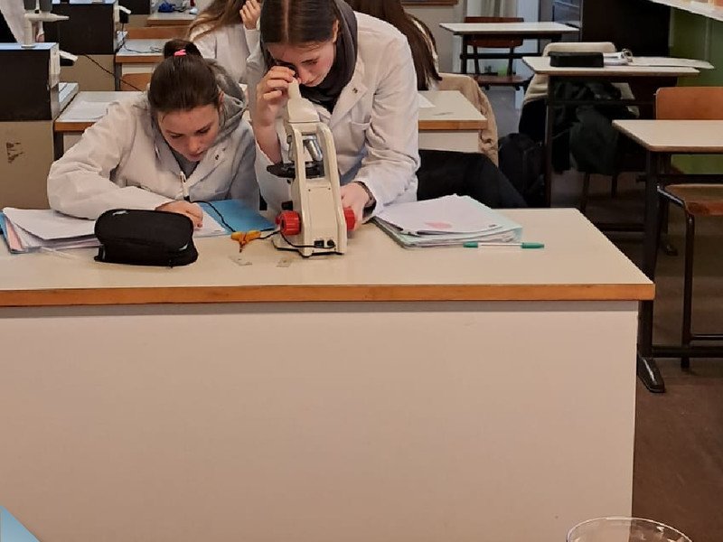 2026-02 3-4Maatschappij-welzijn -2-.jpg