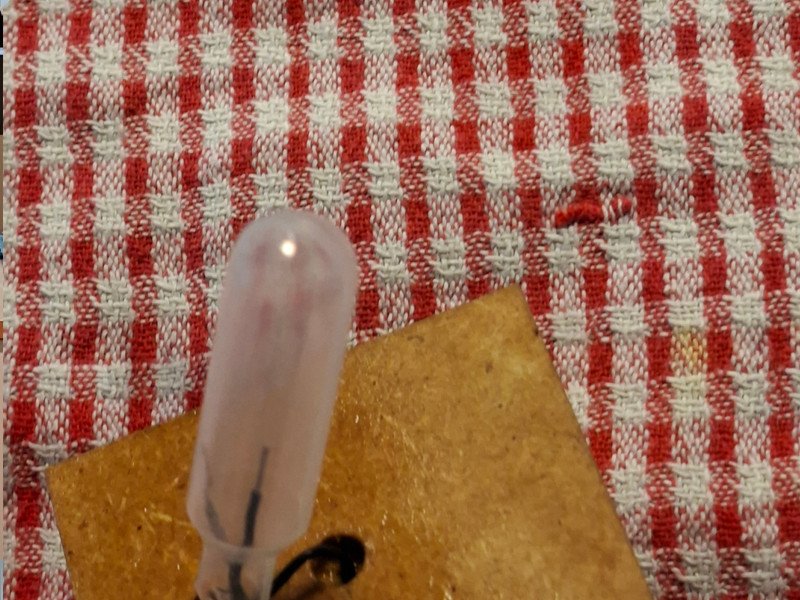 2026-03 4BT -12-.jpg