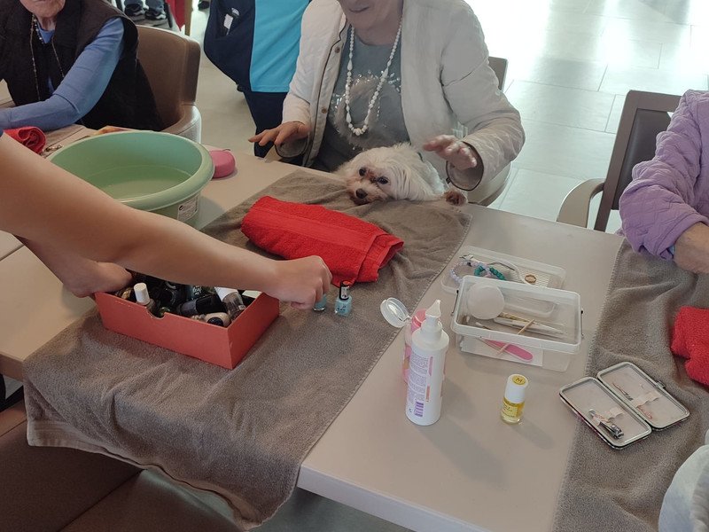 2026-03 4Goesting voor Zorg -6-.jpeg