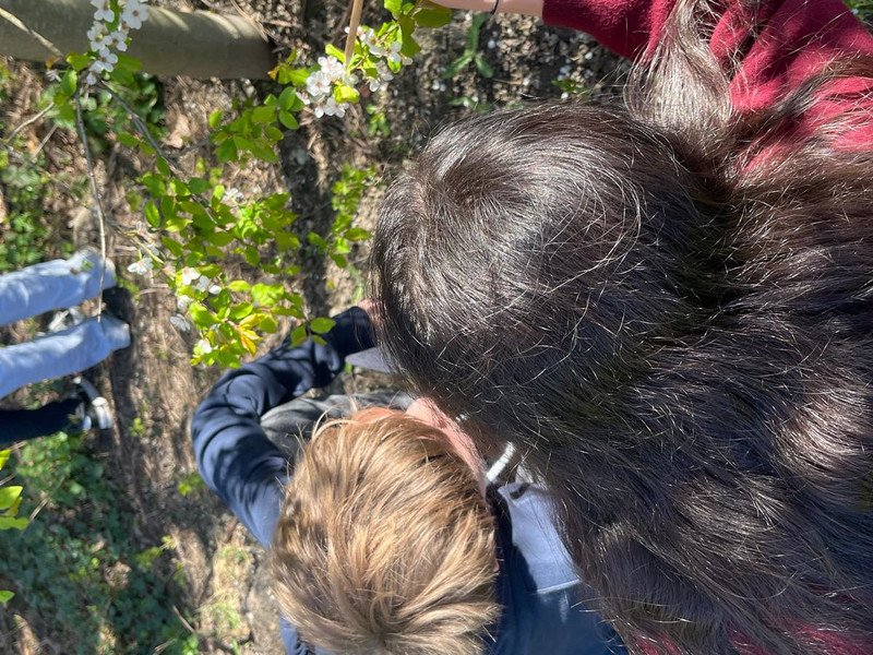 2026-03 2 Spectrum -3-.jpeg