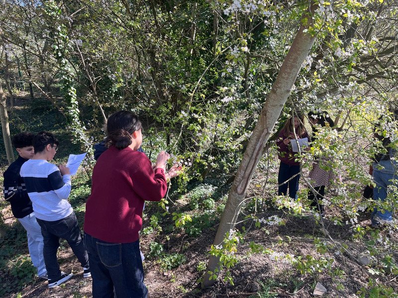 2026-03 2 Spectrum -8-.jpeg