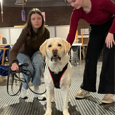 2026-03-27 4Humane wetenschappen 4Welzijnswetenschappen