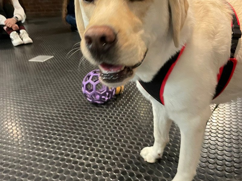 2026-03-27 4HW WZW -2-.jpeg