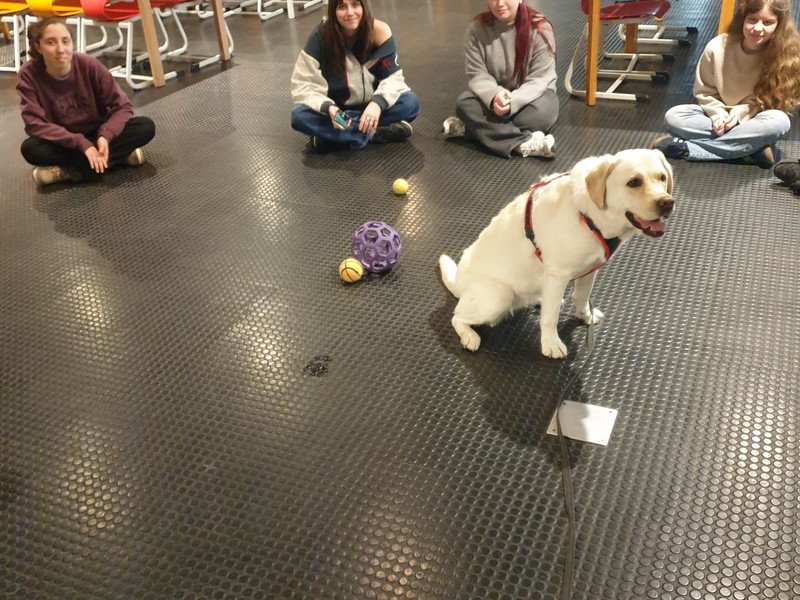 2026-03-27 4HW WZW -8-.jpeg