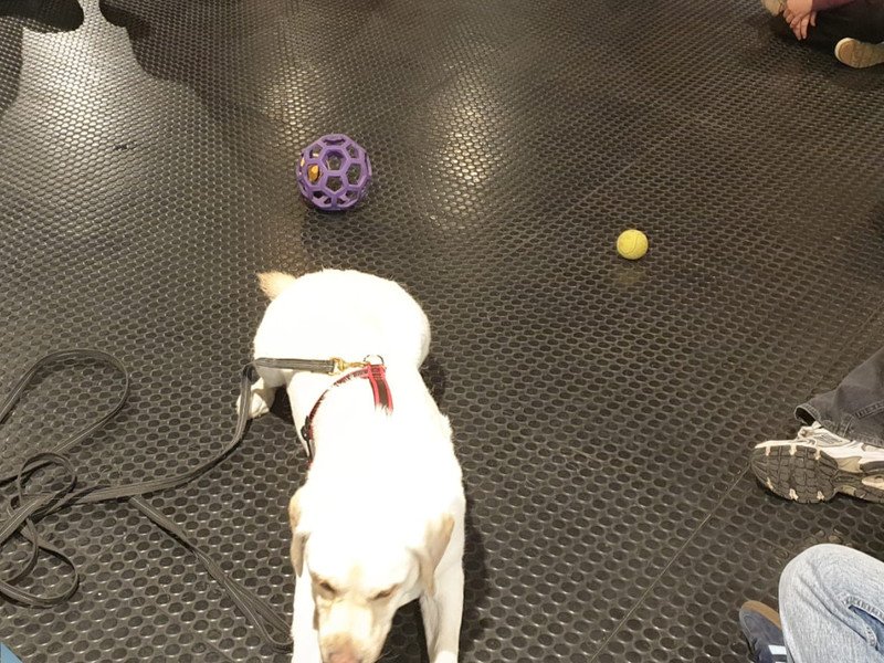 2026-03-27 4HW WZW -10-.jpg