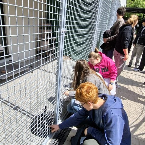 2026-06-08 5Opvoeding en begeleiding