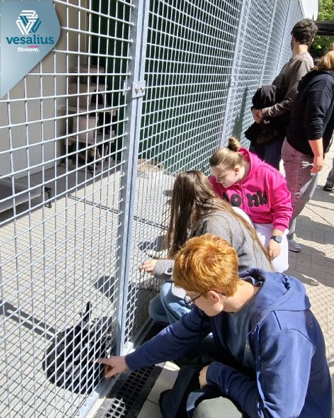 2026-06-08 5 Opvoeding en begeleiding -4-.png